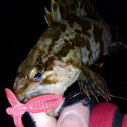 ロックロックこんばんわ。