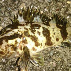 常夜灯周辺で。