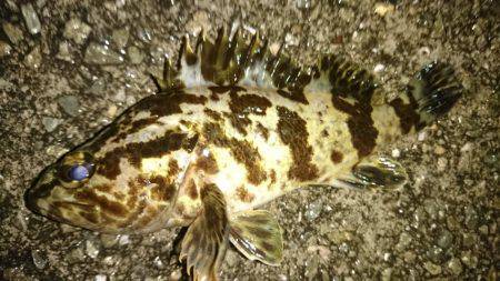 常夜灯周辺で。