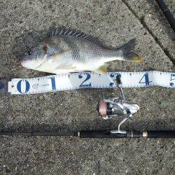 ステッピングでキビレ