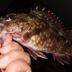 場所移動が正解