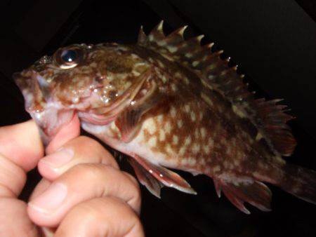 場所移動が正解