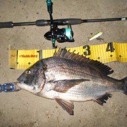 年無しが爆走!!