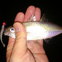 いいやんアジング