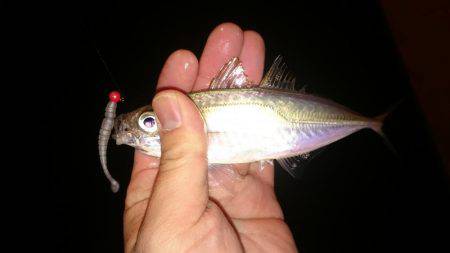 いいやんアジング