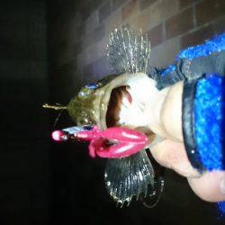 ガシリング南芦屋浜