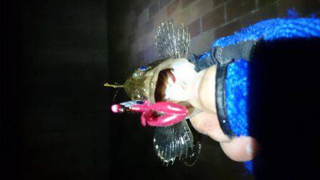 ガシリング南芦屋浜