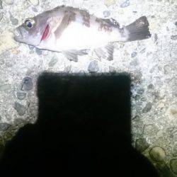 折角、風がないのに！