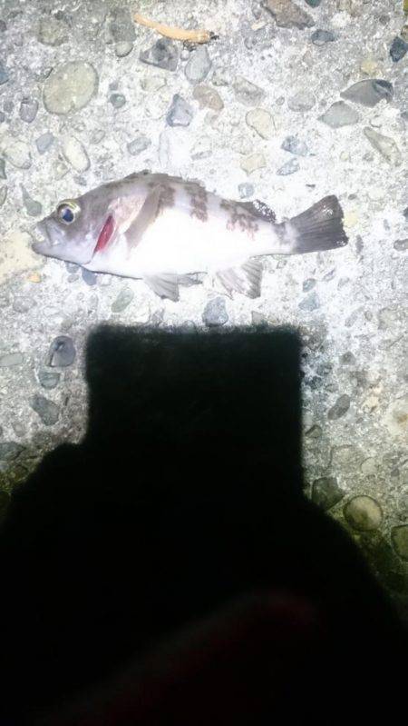 折角、風がないのに！