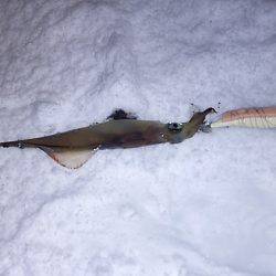 上瀬の方々ありがとうございました