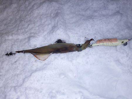 上瀬の方々ありがとうございました