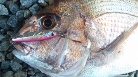 ショアジギング釣行