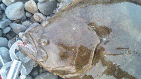 初めて釣りました!!