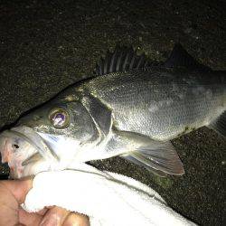 ん〜サイズダウン…