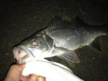 ん〜サイズダウン…