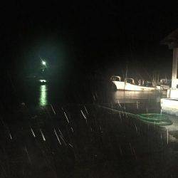 アジングのつもりが