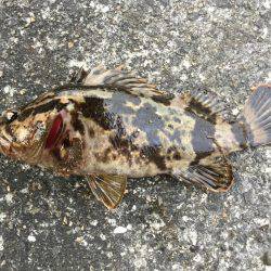 メタルマルのチョンチョンストーン