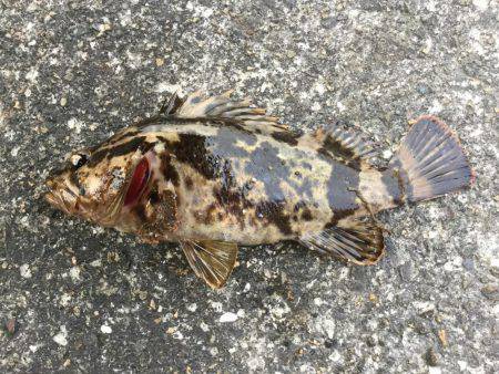 メタルマルのチョンチョンストーン