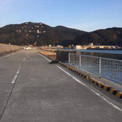 阿尾漁港 メバリング