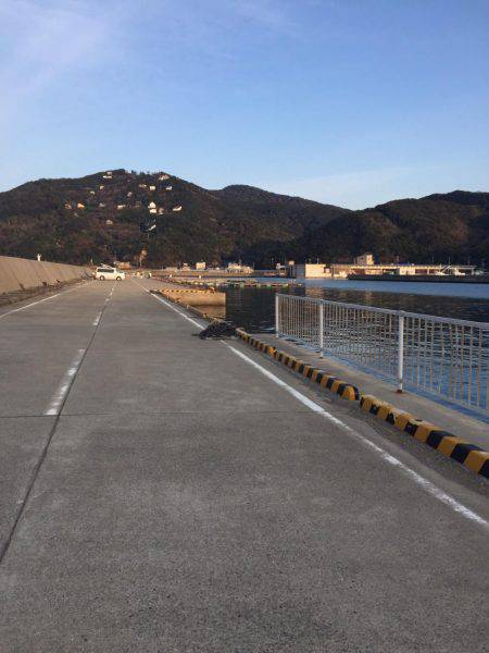 阿尾漁港 メバリング