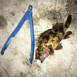 最大の敵は寒さだよ