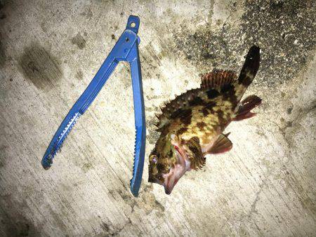 最大の敵は寒さだよ