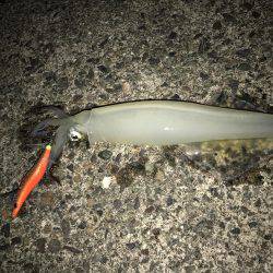 サイズが小さくなってきたかな？