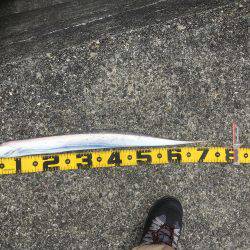 初めて釣れました