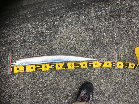 初めて釣れました