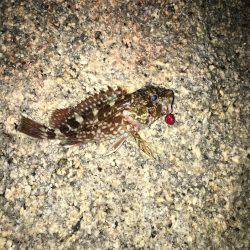 やっぱり、寒いです。