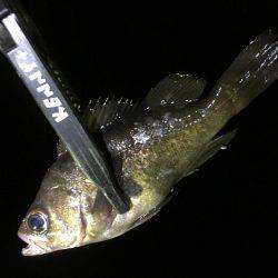 そう！これが釣り！