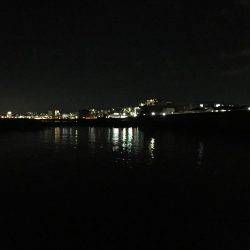 予想外にシブかった