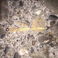 パターン探し。