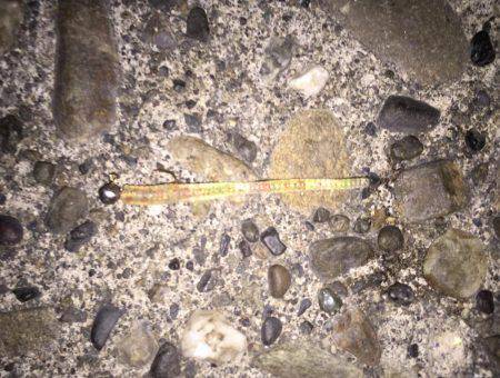 パターン探し。