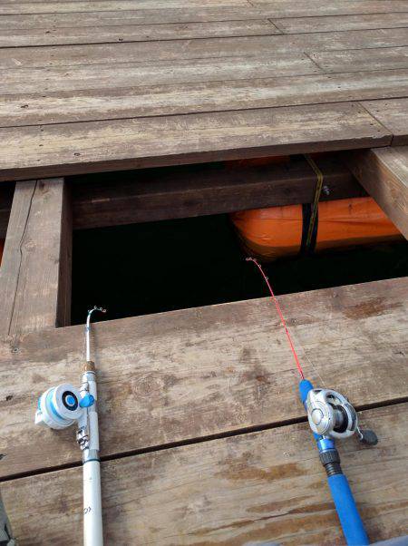 生野銀山湖ワカサギ釣り