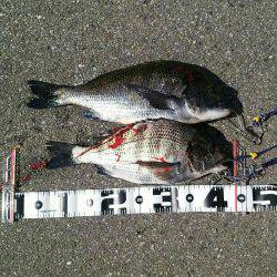 大物ゲットならず!!