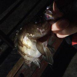 強風の中なんとか、、、