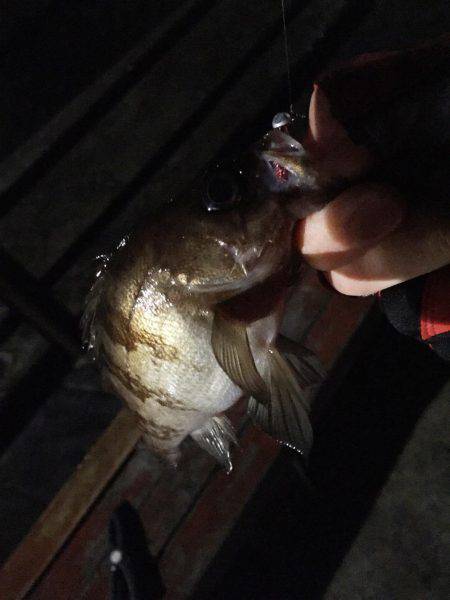 強風の中なんとか、、、