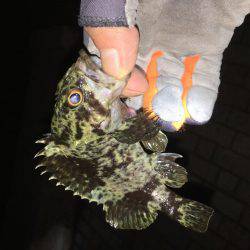 ロックフィッシュ