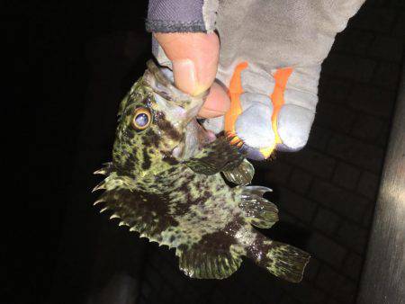 ロックフィッシュ