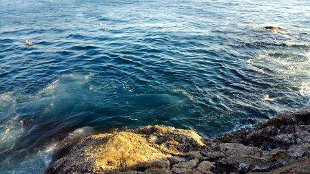 太地でグレ釣り