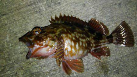 短時間ロックゲーム！