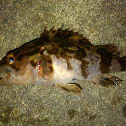 お手軽湾奥ロックゲーム！