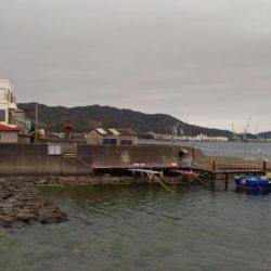 メバリングでマハゼ