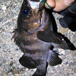 表層アミパターン攻略