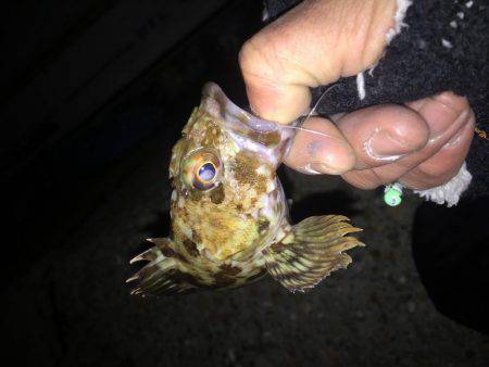 海藻だらけの海…