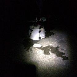 久しぶりの釣行