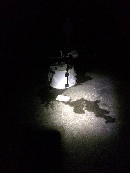 久しぶりの釣行