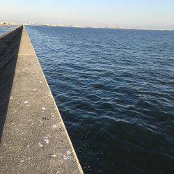 居残りタチウオ