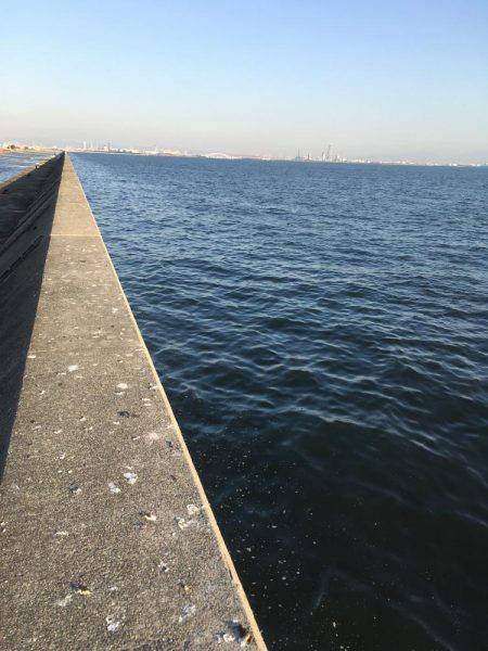 居残りタチウオ